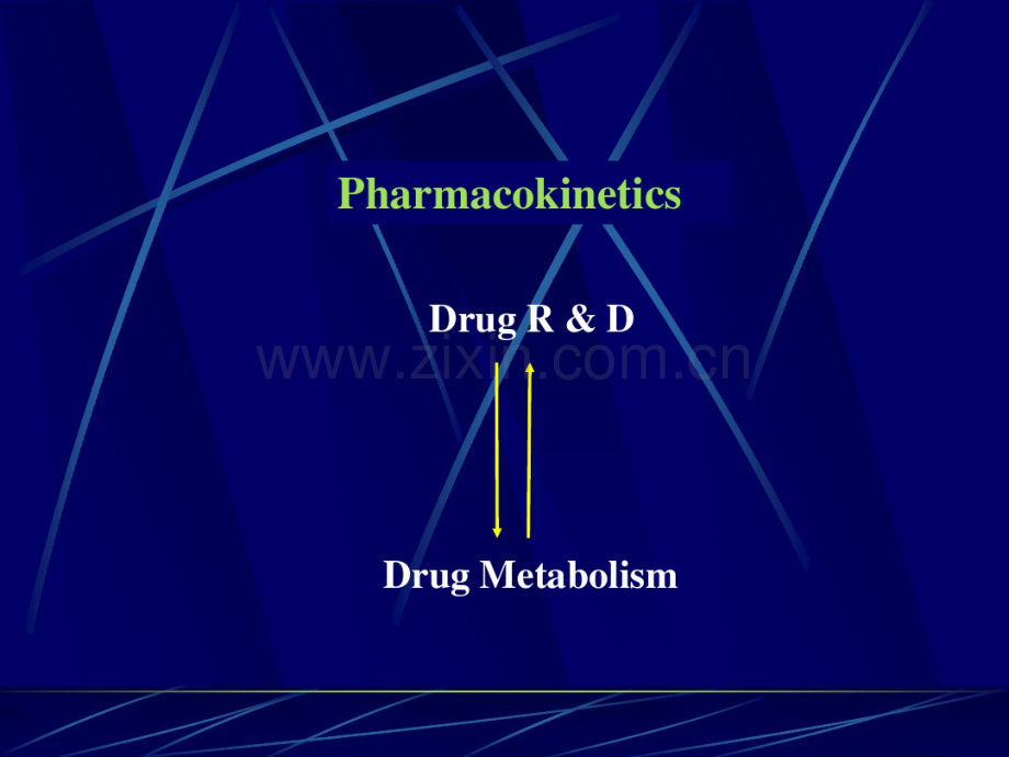 药物代谢.pdf_第2页