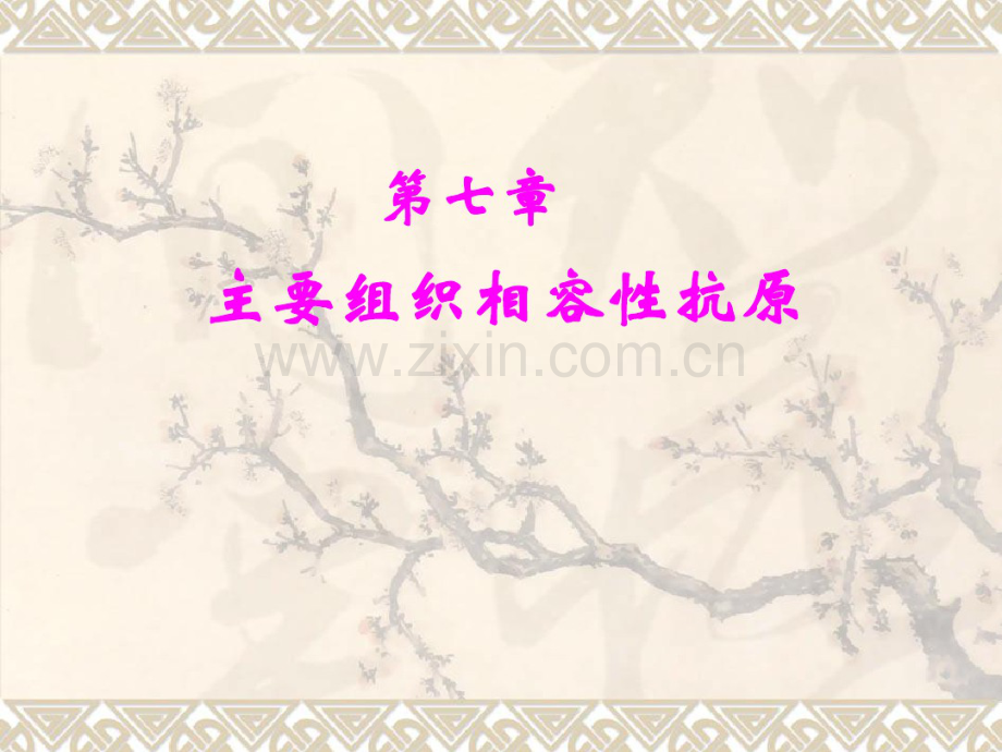 7.HLA-MHC分子.pdf_第1页