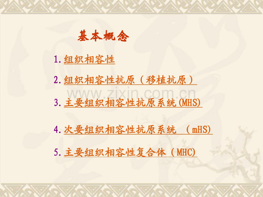 7.HLA-MHC分子.pdf_第2页