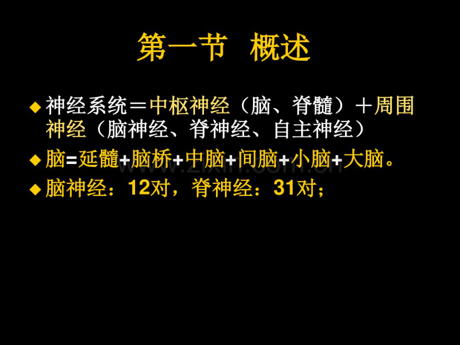 201503现代基础医学概论(第三章神经系统).pdf_第2页