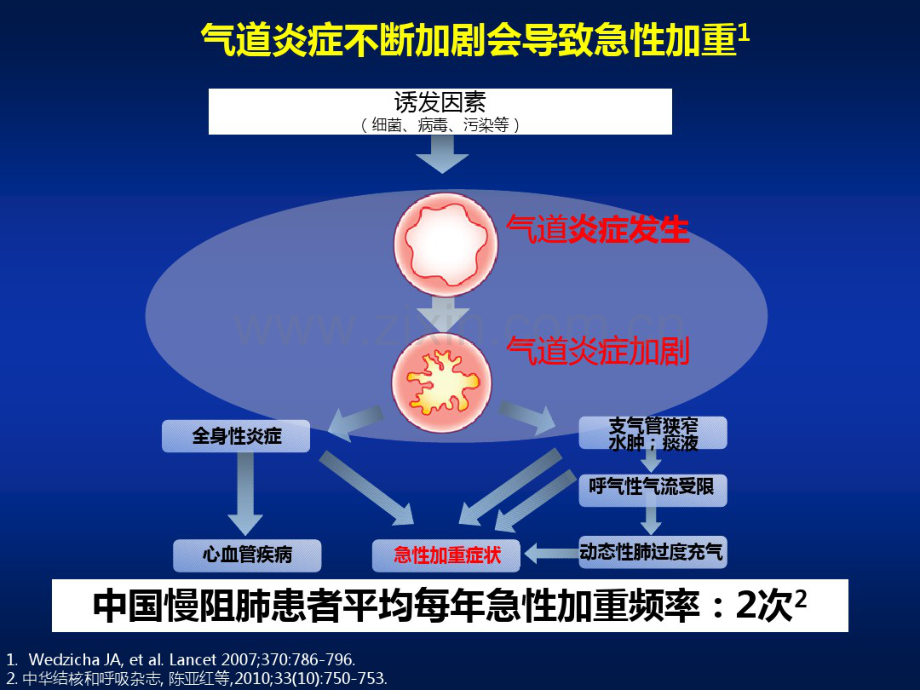 慢阻肺稳定期的管理.pdf_第2页