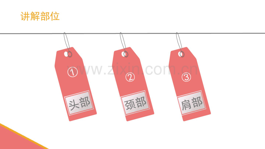 临床查体.pdf_第2页
