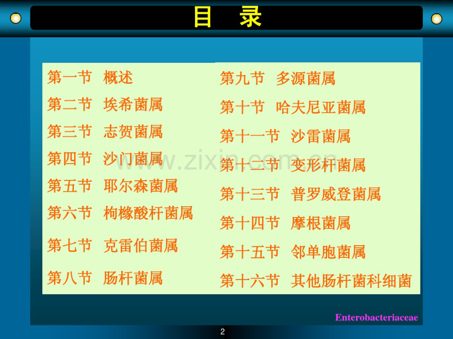肠杆菌科.pdf_第2页