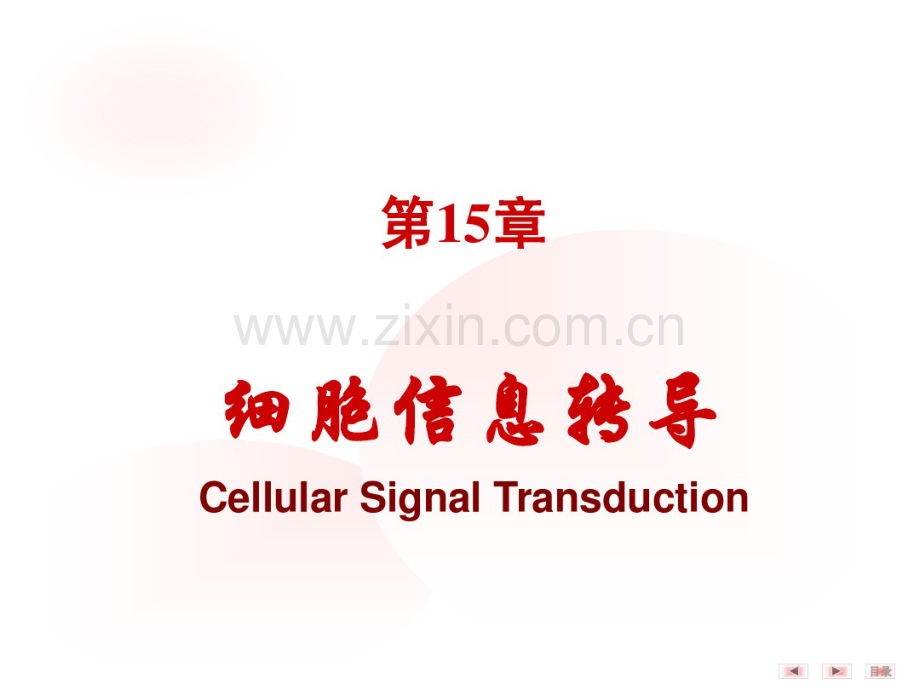 第15章细胞信号转导2010-2011-2.pdf_第1页