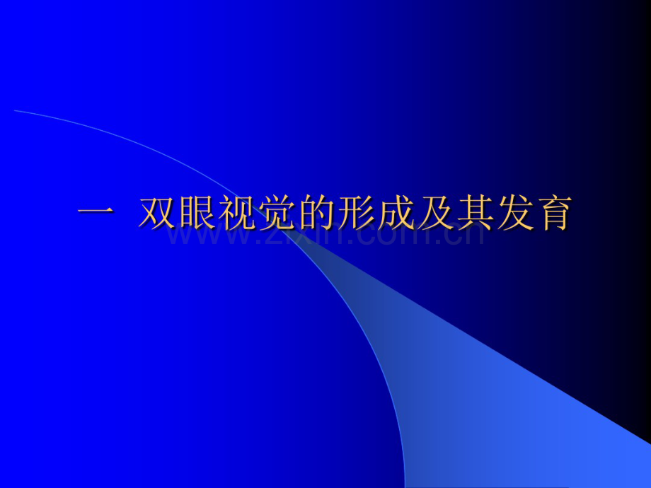双眼视觉的形成及其发育.pdf_第2页