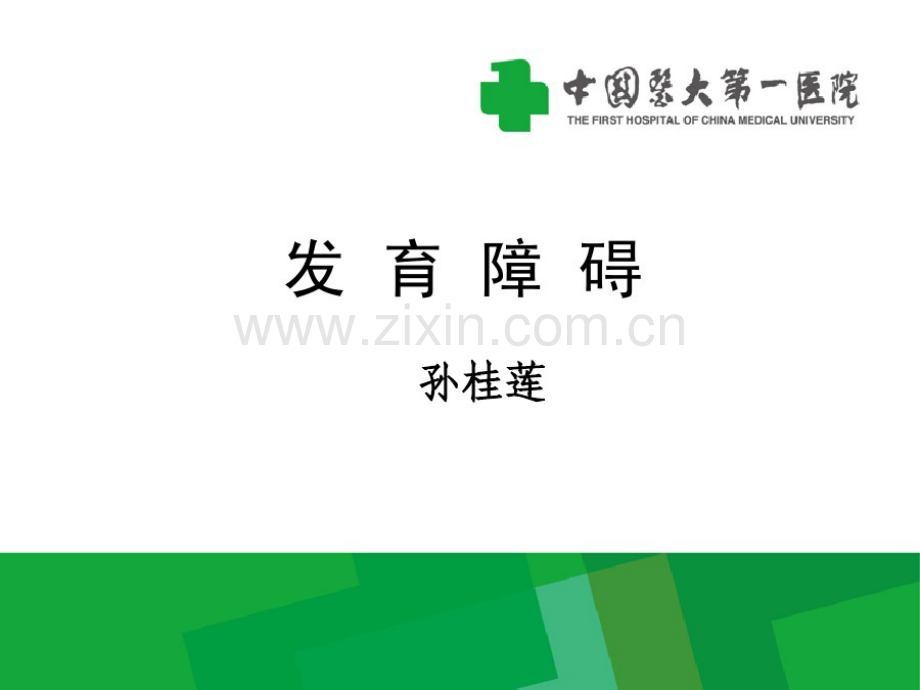 发育障碍.pdf_第1页