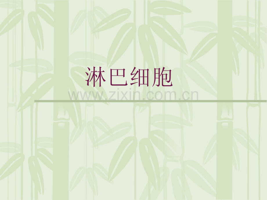 淋巴细胞.pdf_第1页