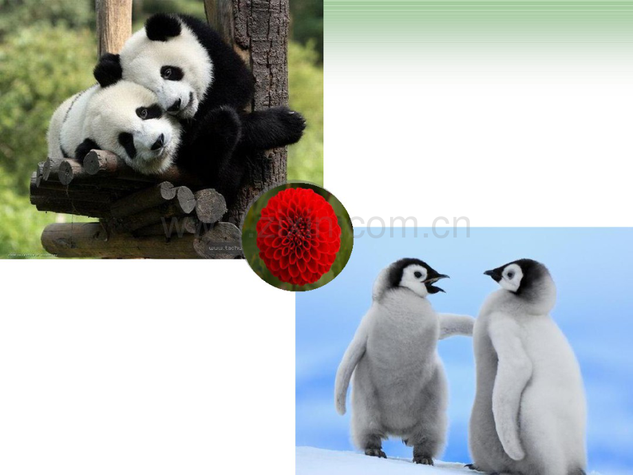 细胞呼吸-公开课-1.pdf_第2页