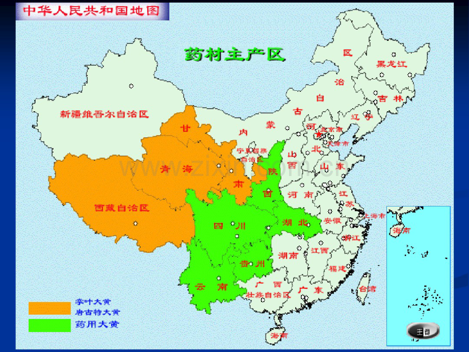廖科——大黄.pdf_第2页