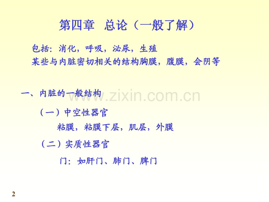 5-内脏学-总论和消化系统.pdf_第2页