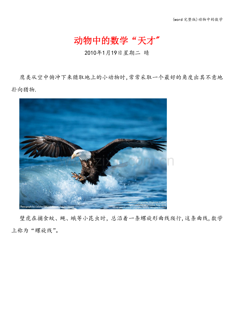 动物中的数学.doc_第1页