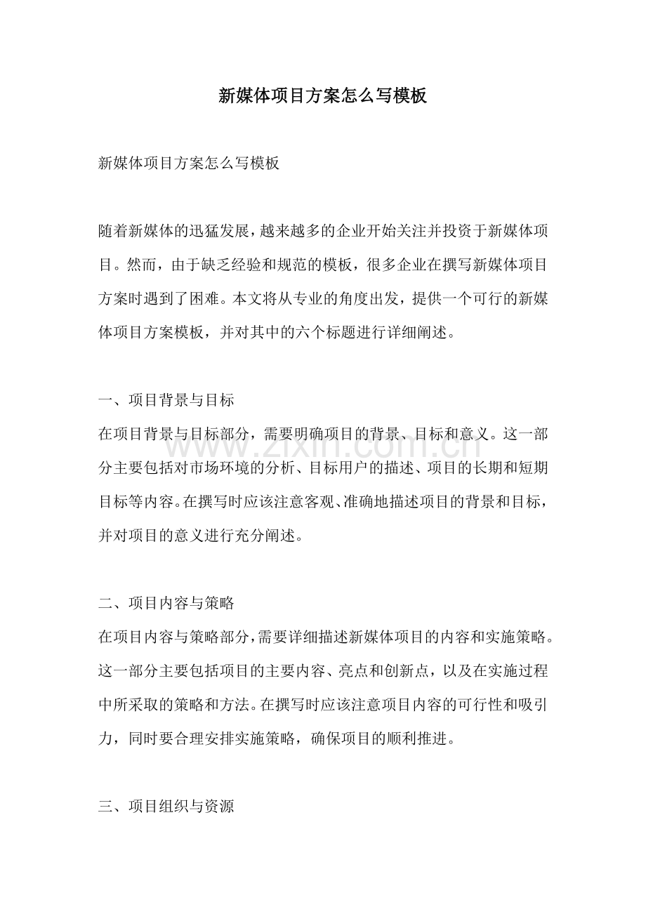新媒体项目方案怎么写模板.docx_第1页