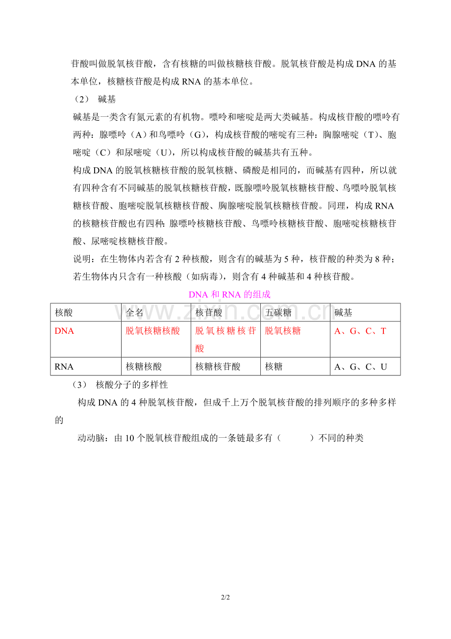 《遗传信息的携带者-核酸》知识归纳.doc_第2页