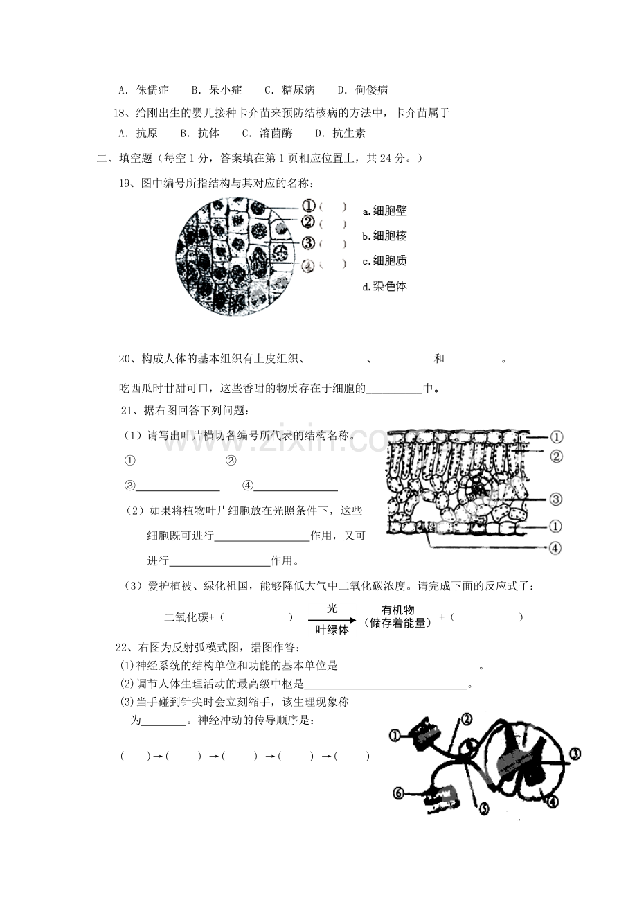 2019-2020年九年级生物第一次期末考试试题.doc_第2页