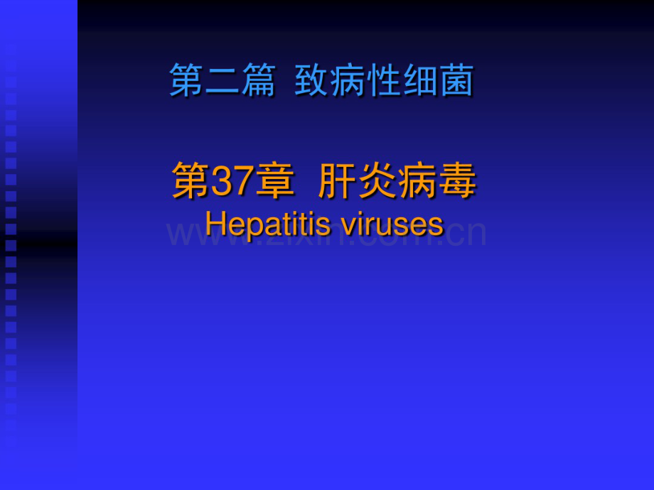 肝炎病毒.pdf_第2页