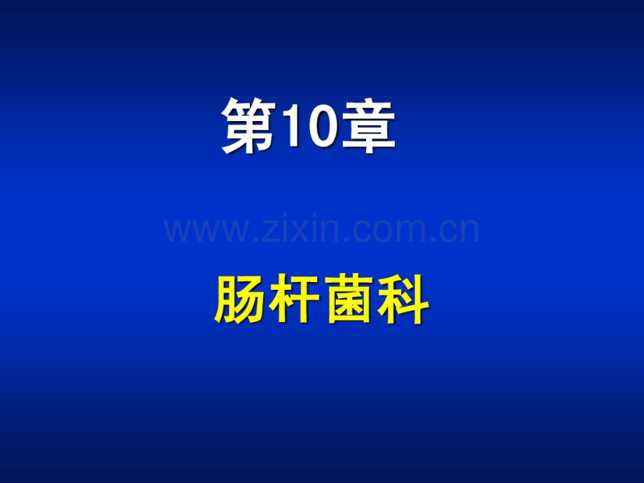 肠杆菌属.pdf_第1页