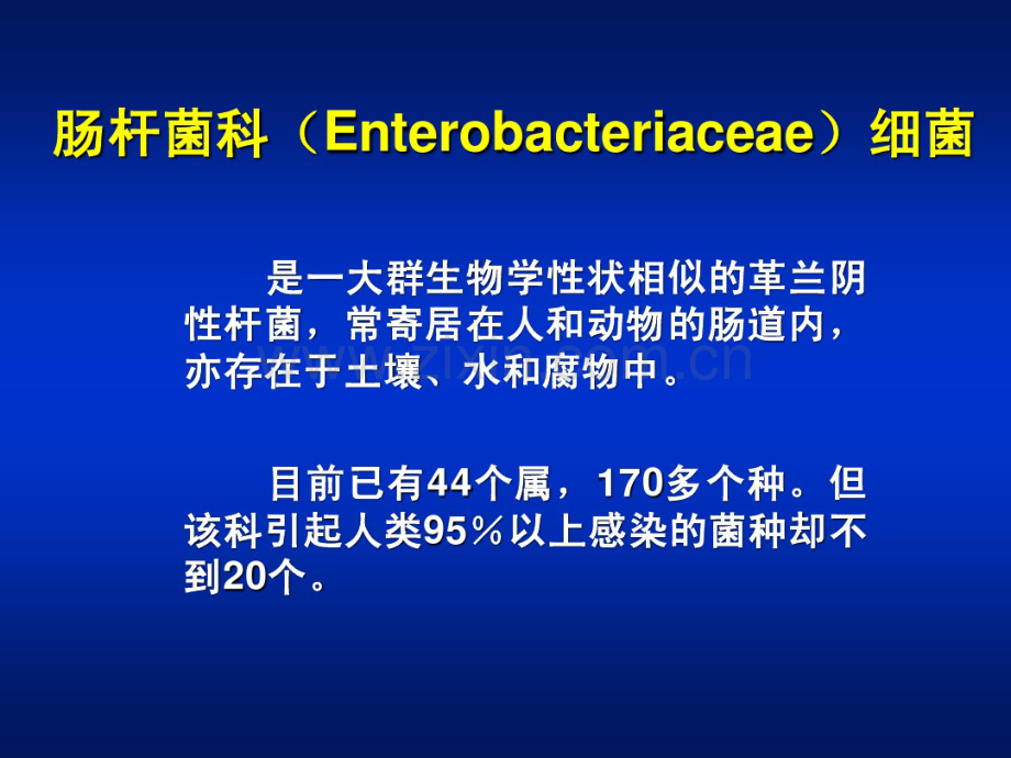 肠杆菌属.pdf_第2页