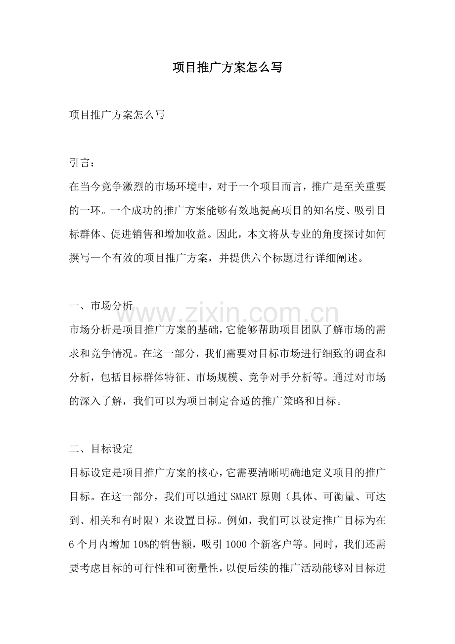 项目推广方案怎么写.docx_第1页