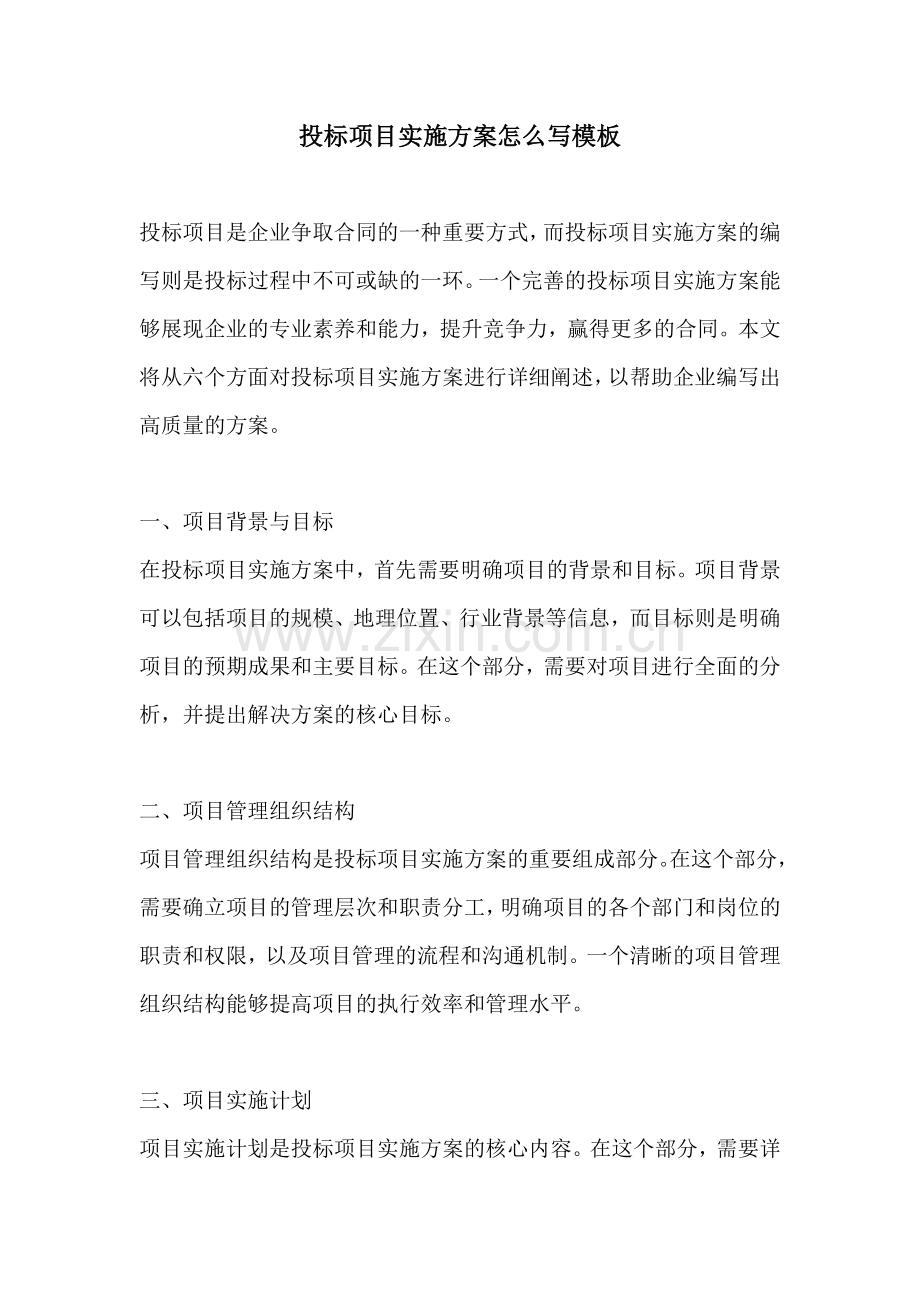 投标项目实施方案怎么写模板.docx_第1页