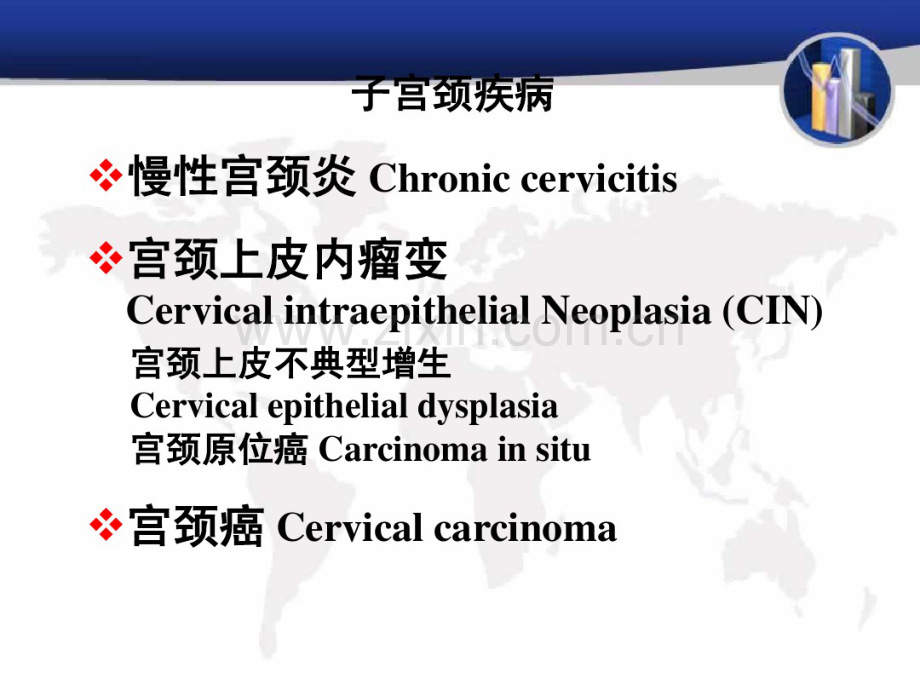 第13章生殖系统和乳腺疾病.pdf_第2页