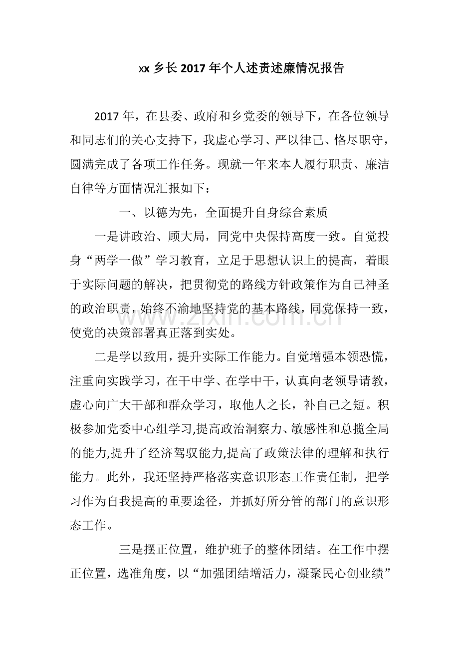 xx乡长2019年个人述责述廉情况报告.docx_第1页