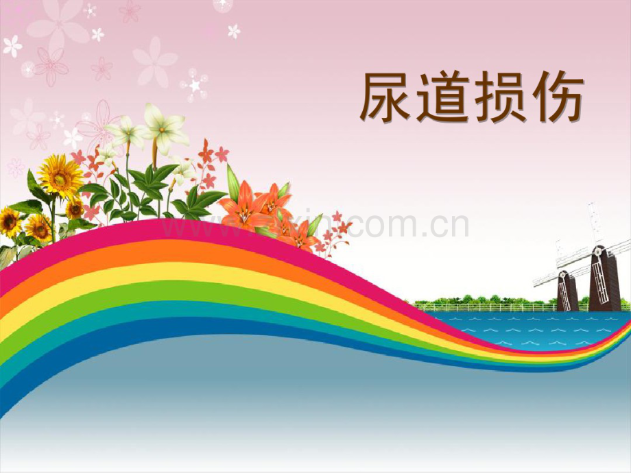 尿道损伤.pdf_第1页
