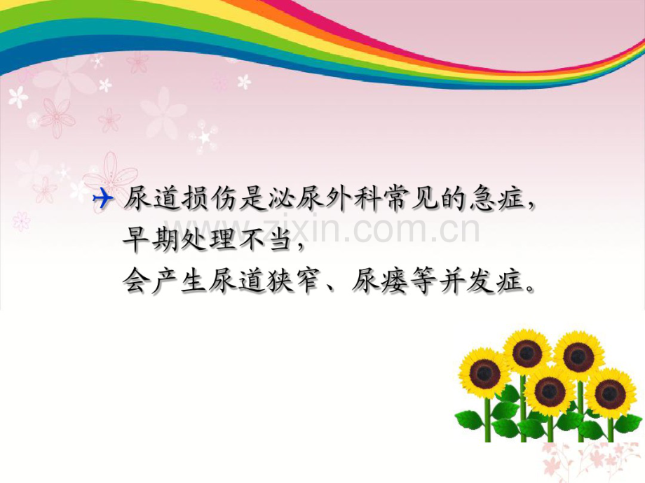 尿道损伤.pdf_第2页
