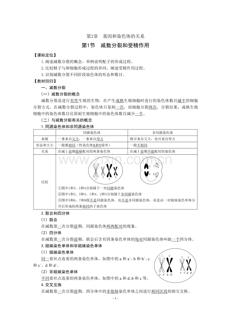 第2章基因和染色体的关系(教案).doc_第1页