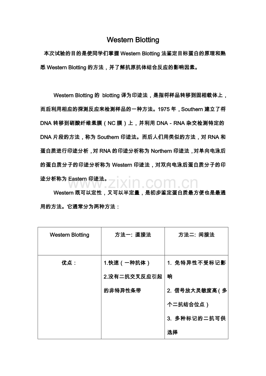 -Western-Blotting实验报告.doc_第1页