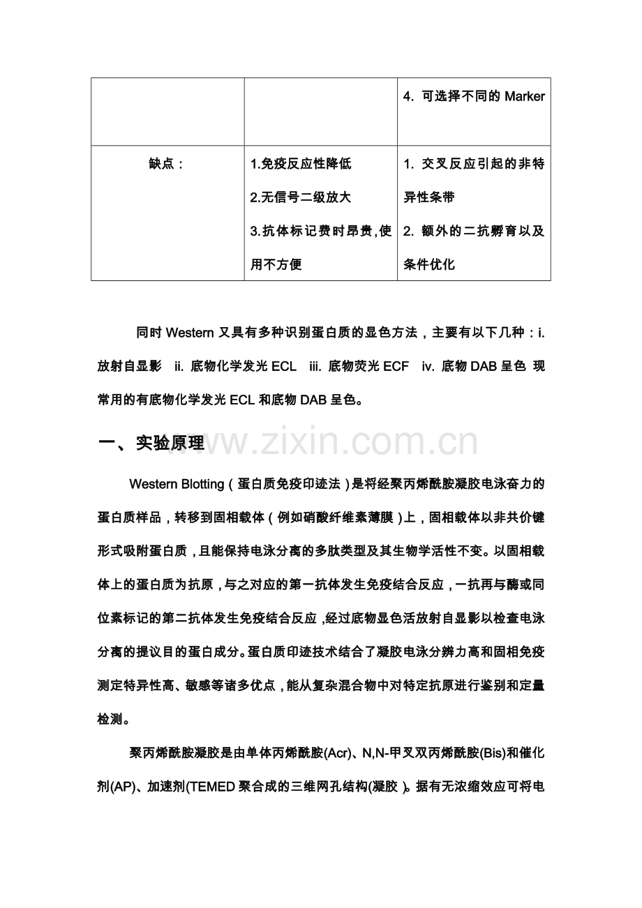 -Western-Blotting实验报告.doc_第2页