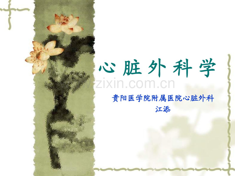 心脏外科学.pdf_第1页