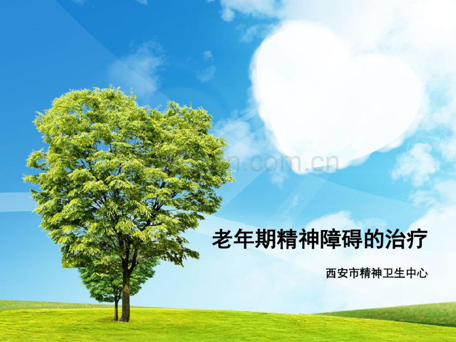老年精神病学(20190827194340).pdf_第1页