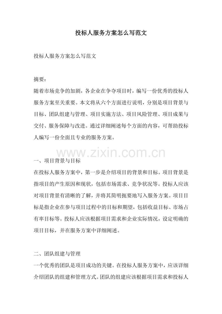 投标人服务方案怎么写范文.docx_第1页