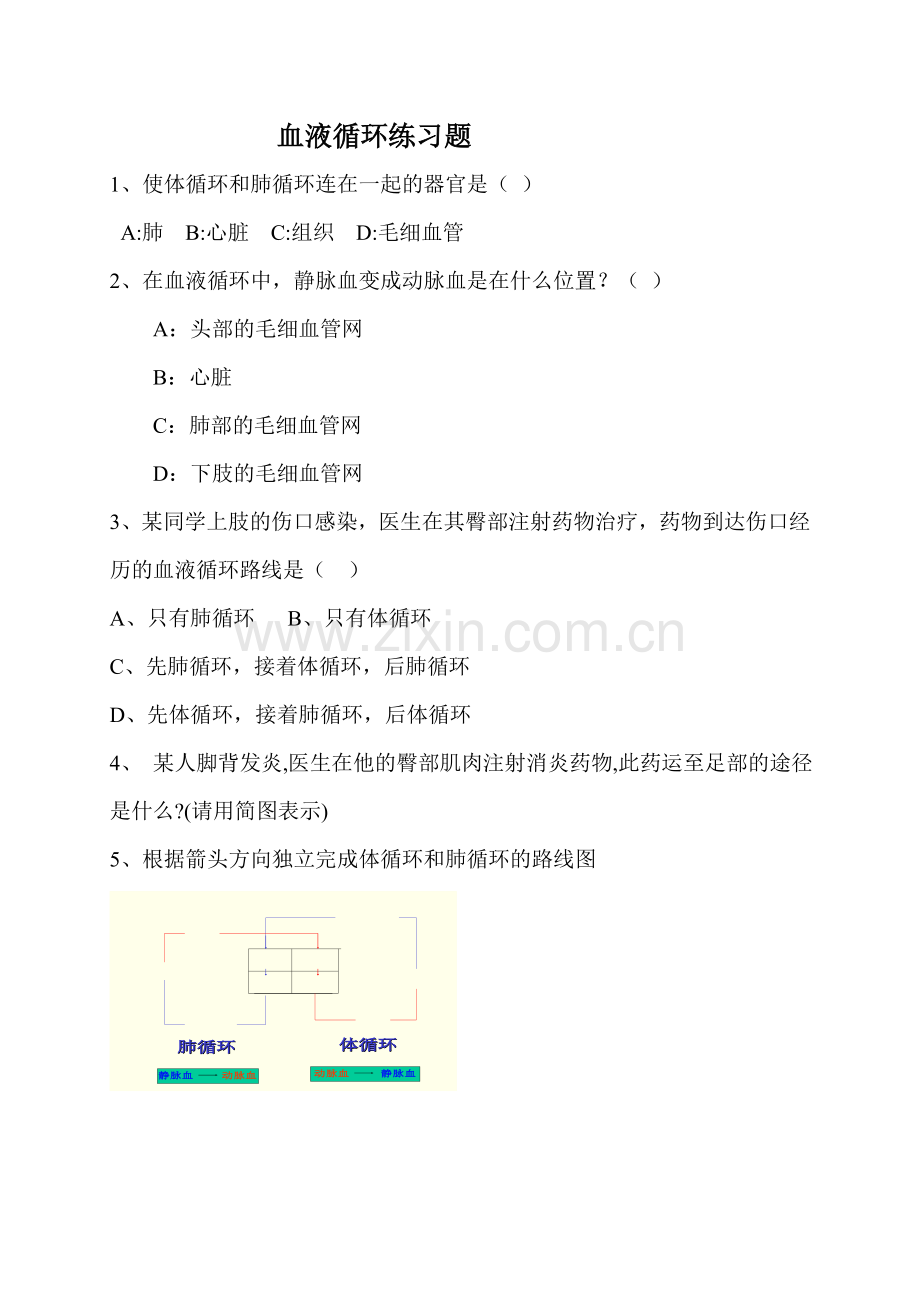 血液循环练习题.doc_第1页