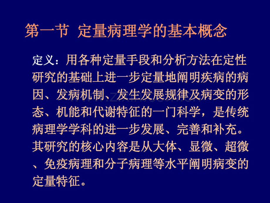 定量病理.pdf_第2页