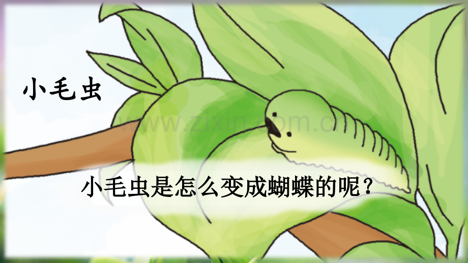 《小毛虫》课件下载.pptx_第2页