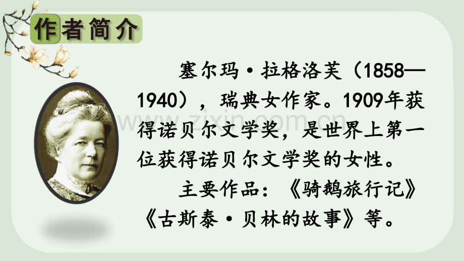 部编版六年级语文下册《骑鹅旅行记(节选)》教学课件.ppt_第2页