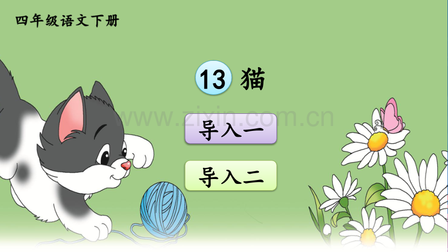 2020年部编版四年级语文下册《-猫》课件.ppt_第1页