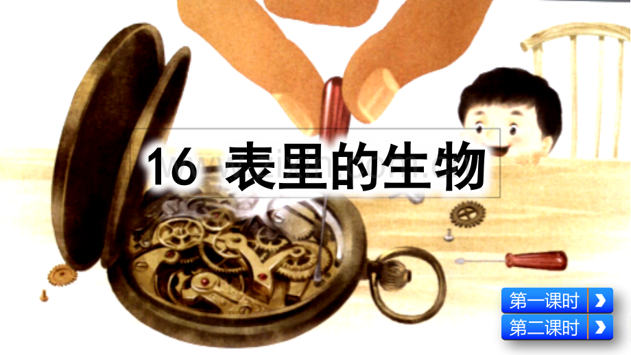 部编人教版六年级语文下册《表里的生物》教学课件.pptx_第2页