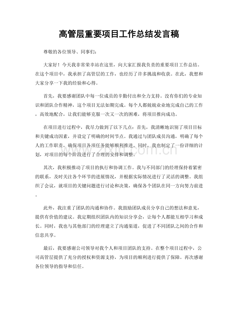 高管层重要项目工作总结发言稿.docx_第1页
