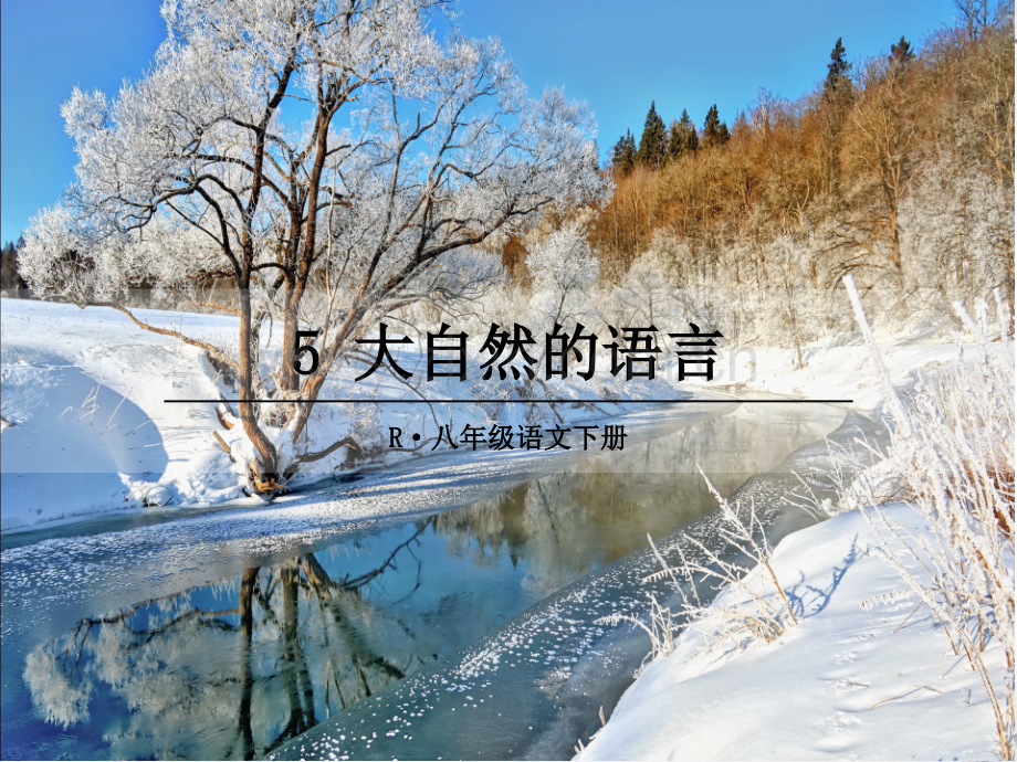 部编人教版八年级语文下册《大自然的语言》配套课件.ppt_第1页