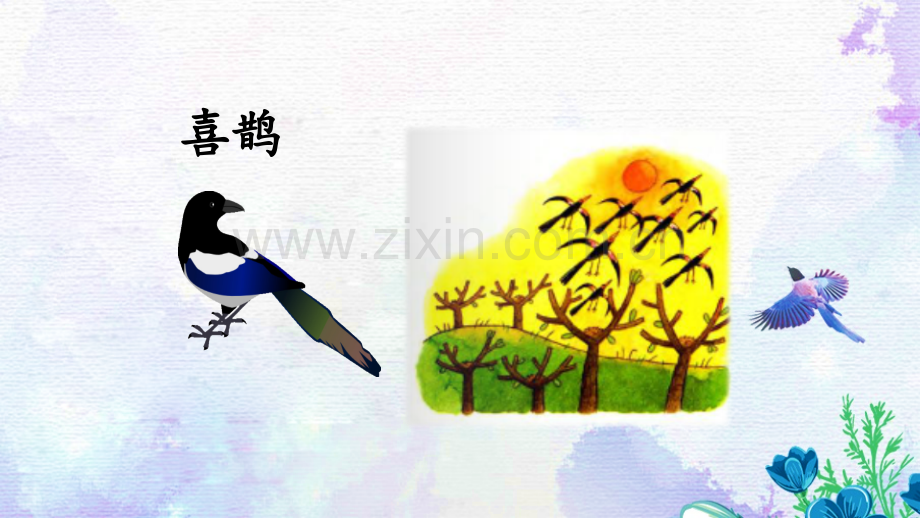 部编人教版二年级语文下册《枫树上的喜鹊》优质课件.pptx_第1页