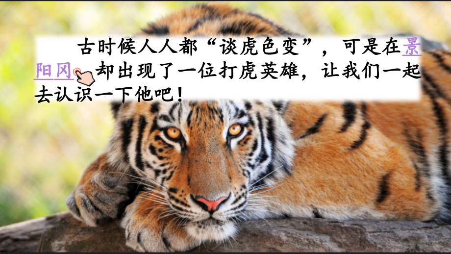 部编版五年级语文下册《景阳冈》.pptx_第1页