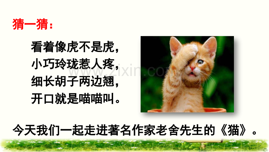 部编版小学四年级语文下册《猫》课件.pptx_第1页
