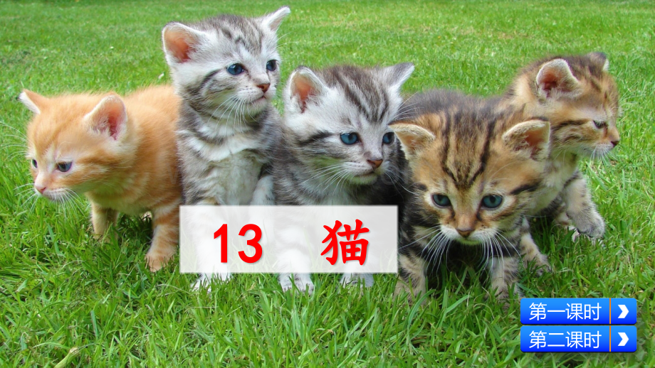 部编版小学四年级语文下册《猫》课件.pptx_第2页