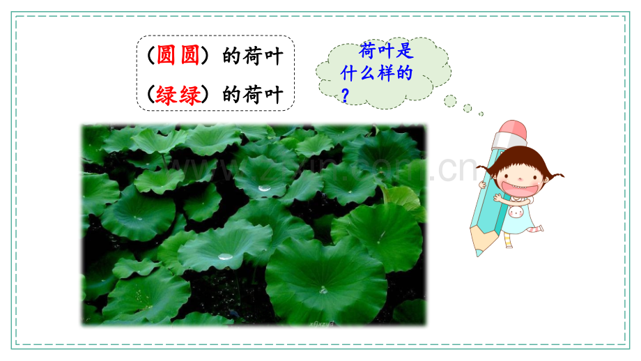 一年级语文下册《荷叶圆圆》课件.pptx_第1页