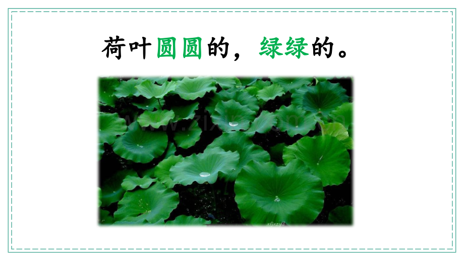 一年级语文下册《荷叶圆圆》课件.pptx_第2页