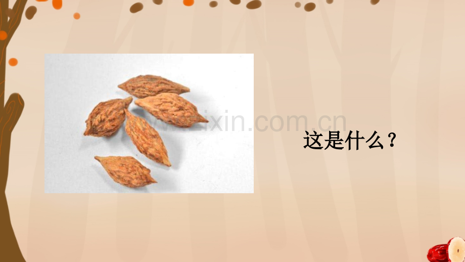 部编人教版三年级语文下册《枣核》课件.pptx_第1页