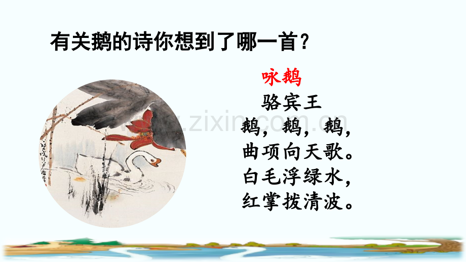 2023年部编人教版四年级语文下册《白鹅》课件.pptx_第2页