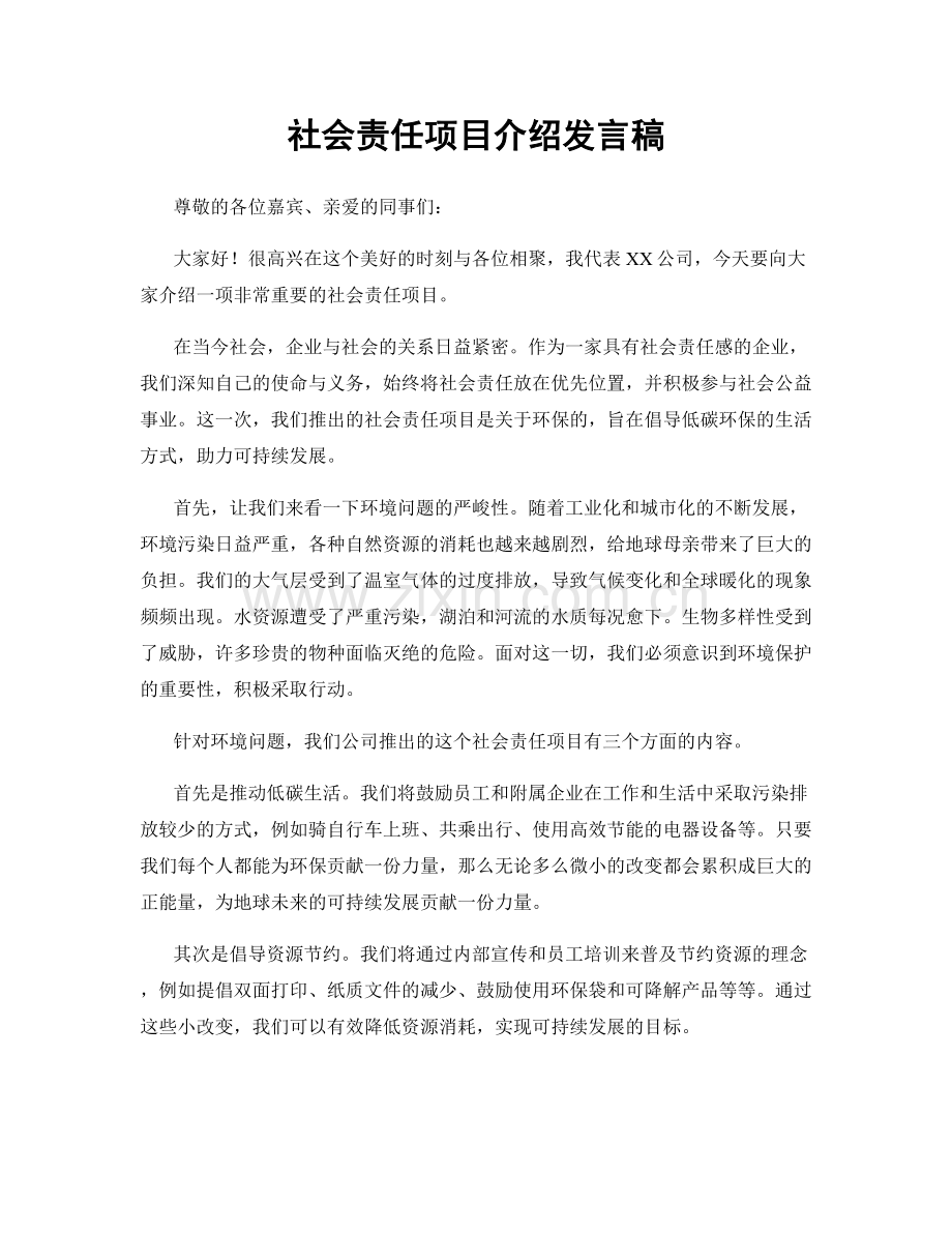 社会责任项目介绍发言稿.docx_第1页